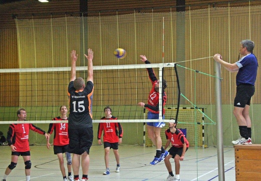 Herren