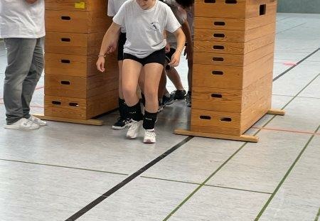 IMG 2940