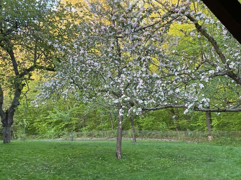 115.jpg